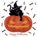 A black kitten in a witch`s hat, who is sitting on a Halloween pumpkin in the form of a lantern with his paw hanging down. Royalty Free Stock Photo